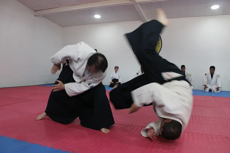 Federación Mexicana de Aikido, A.C.