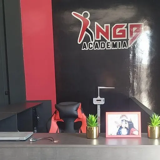 Academia NGB