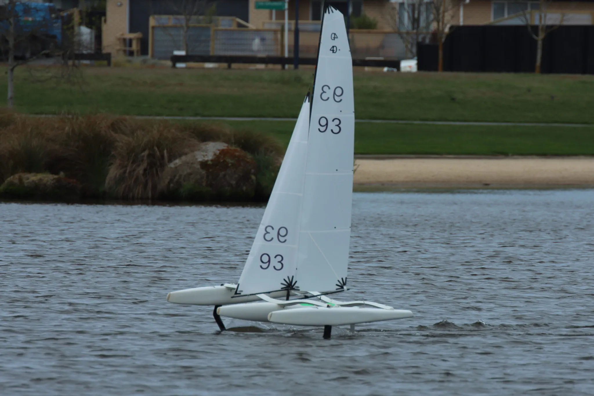 Pegasus Radio Sailing Club