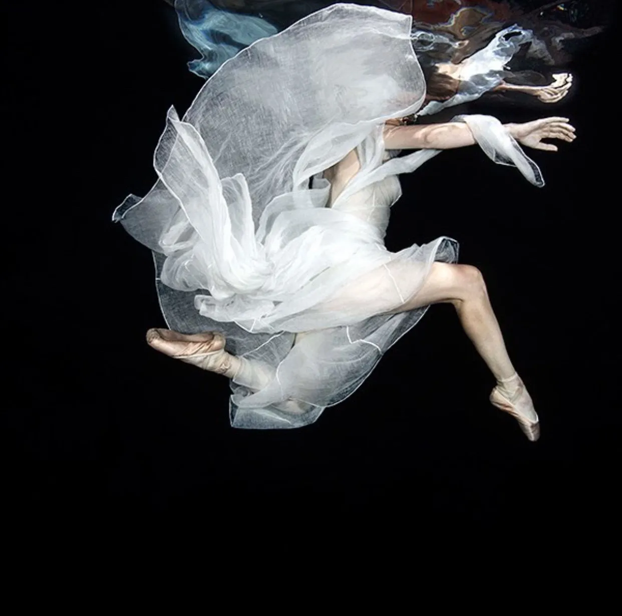 VOLANDO VOY DANZANDO VENGO