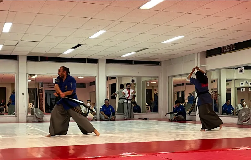 Haidong Gumdo Bae - Arte marcial con espada
