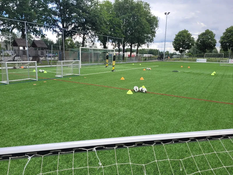 MH Sportservices