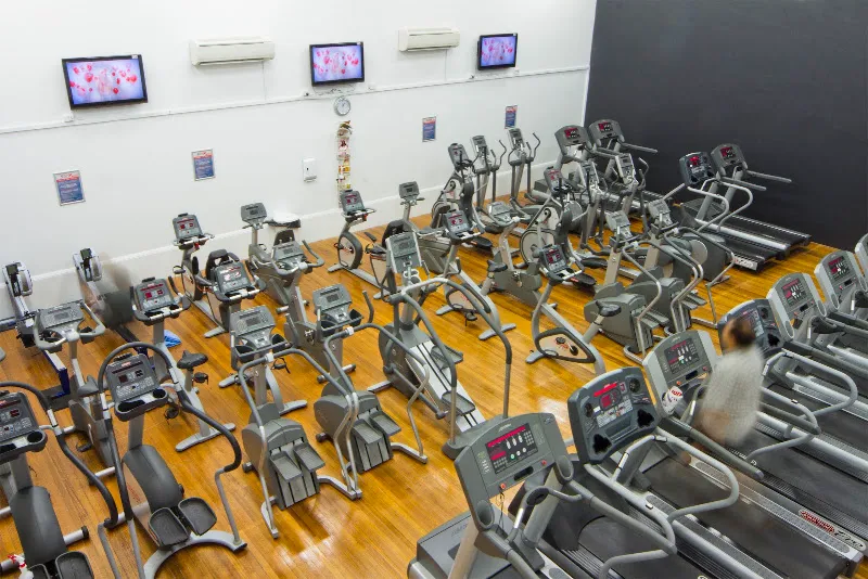 TEAM Fitness