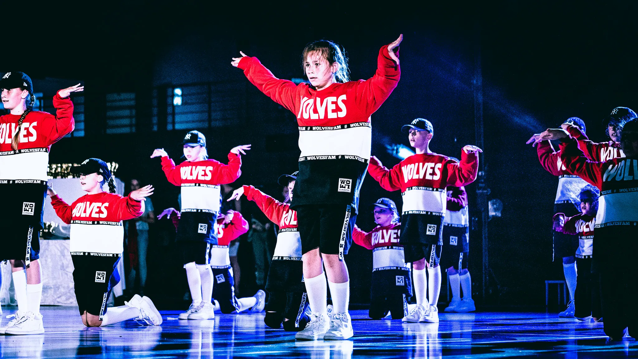 Wolf Dance Studio Sp. z o.o.