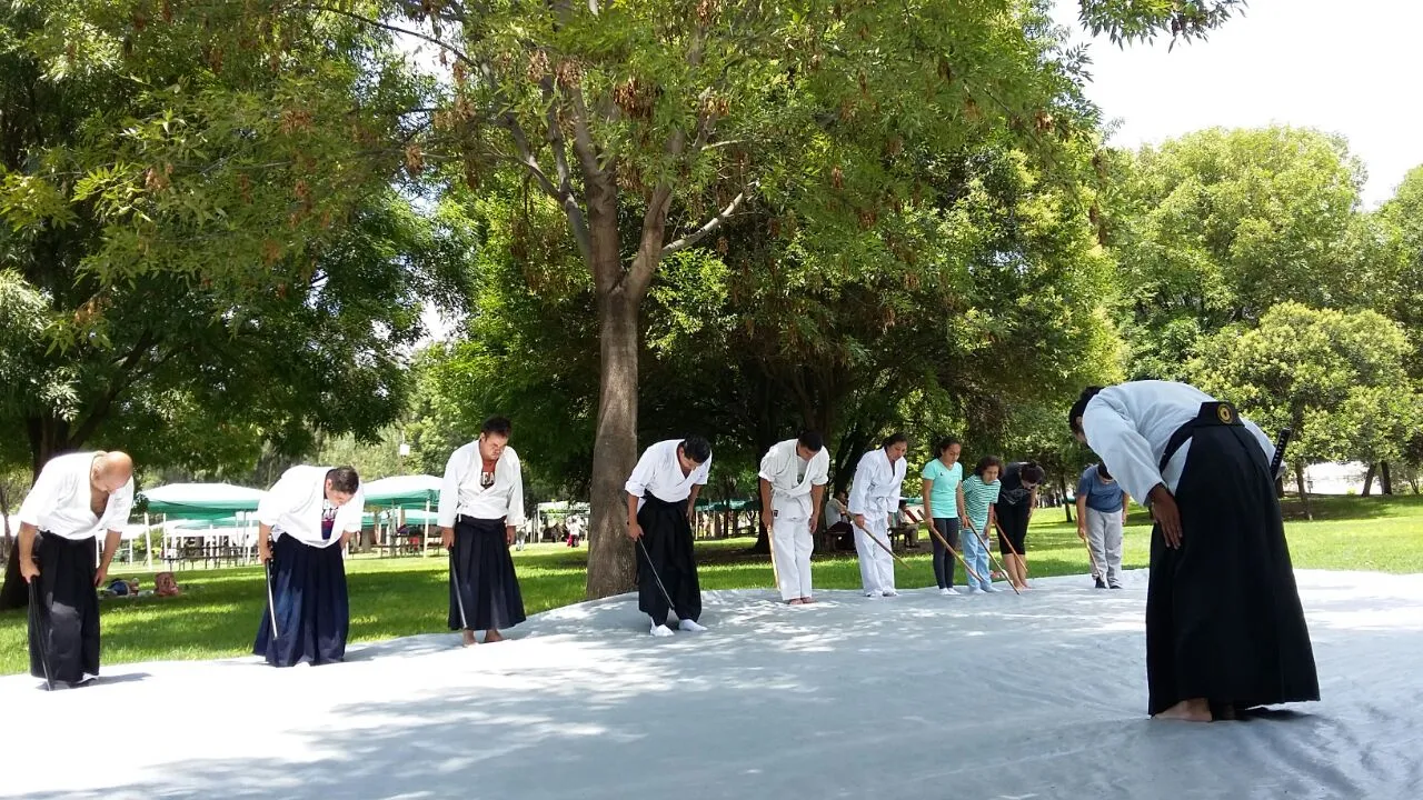 Aikido León