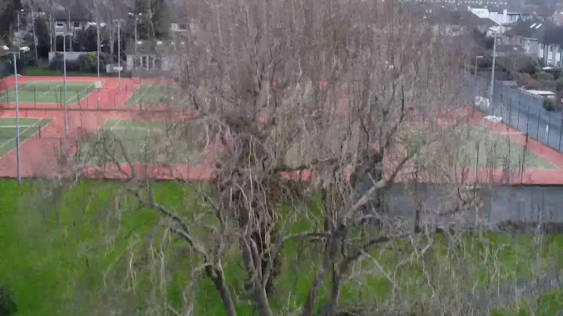 Leopardstown Tennis Club