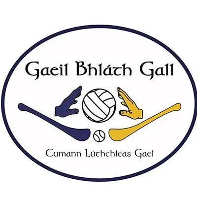 Blackhall Gaels GAA pitch, Kilcloon