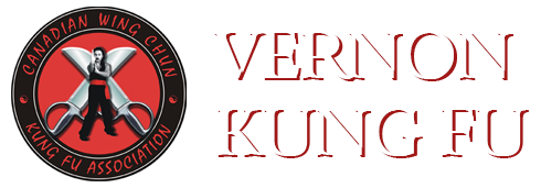 Vernon Kung Fu
