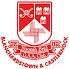 St. Brigid's GAA Club