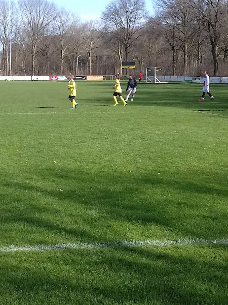 R.K. Voetbalvereniging Vorstenbossche Boys