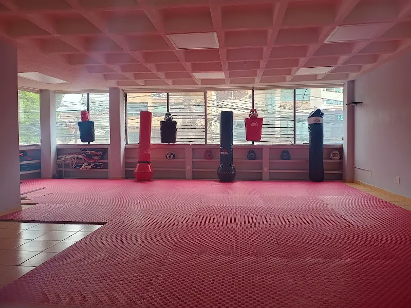 Velarca Training System