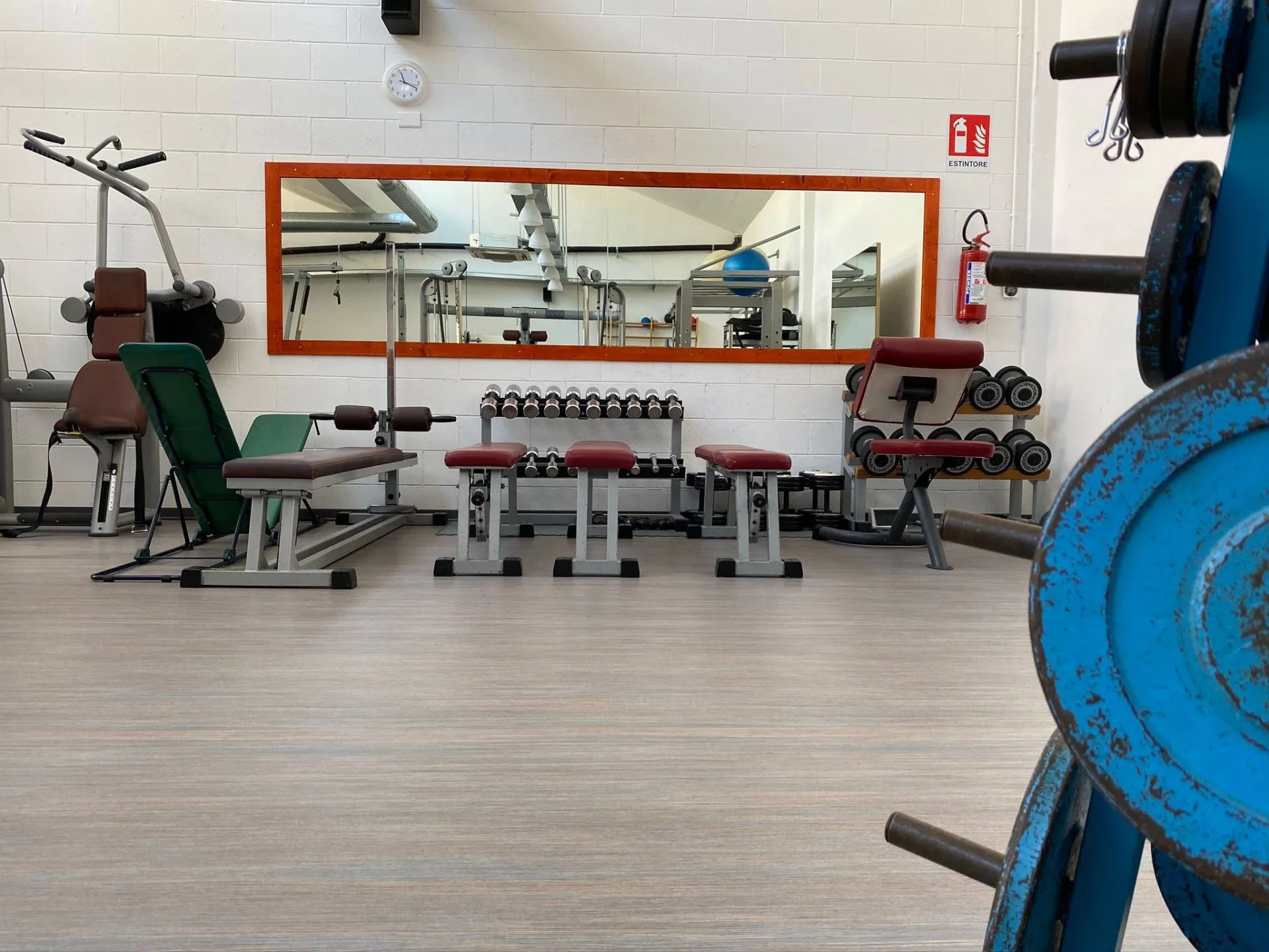 GYM THE CHIMERA