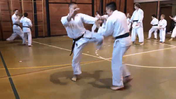 Shogaku Budo Vaud Dojo De Moudon