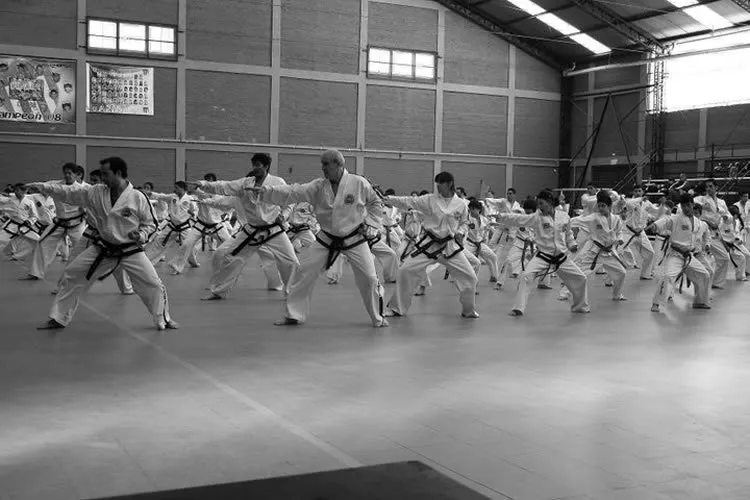 Escuela de Taekwondo Ramos Mejía TNR