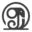 Gaj Yoga Studio - Best Yoga Classes in Ajmer || Yoga center || Yoga Studio || Yoga Sessions