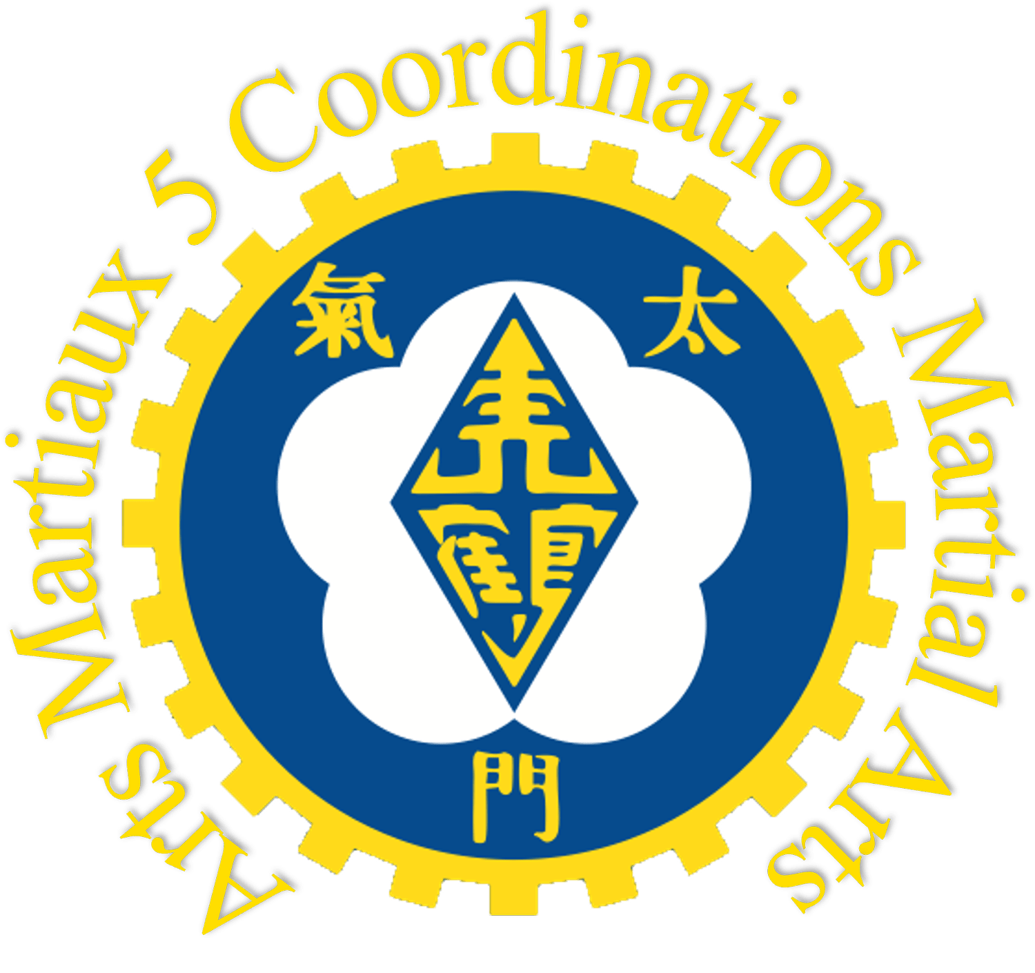 Arts Martiaux Cinq Coordinations