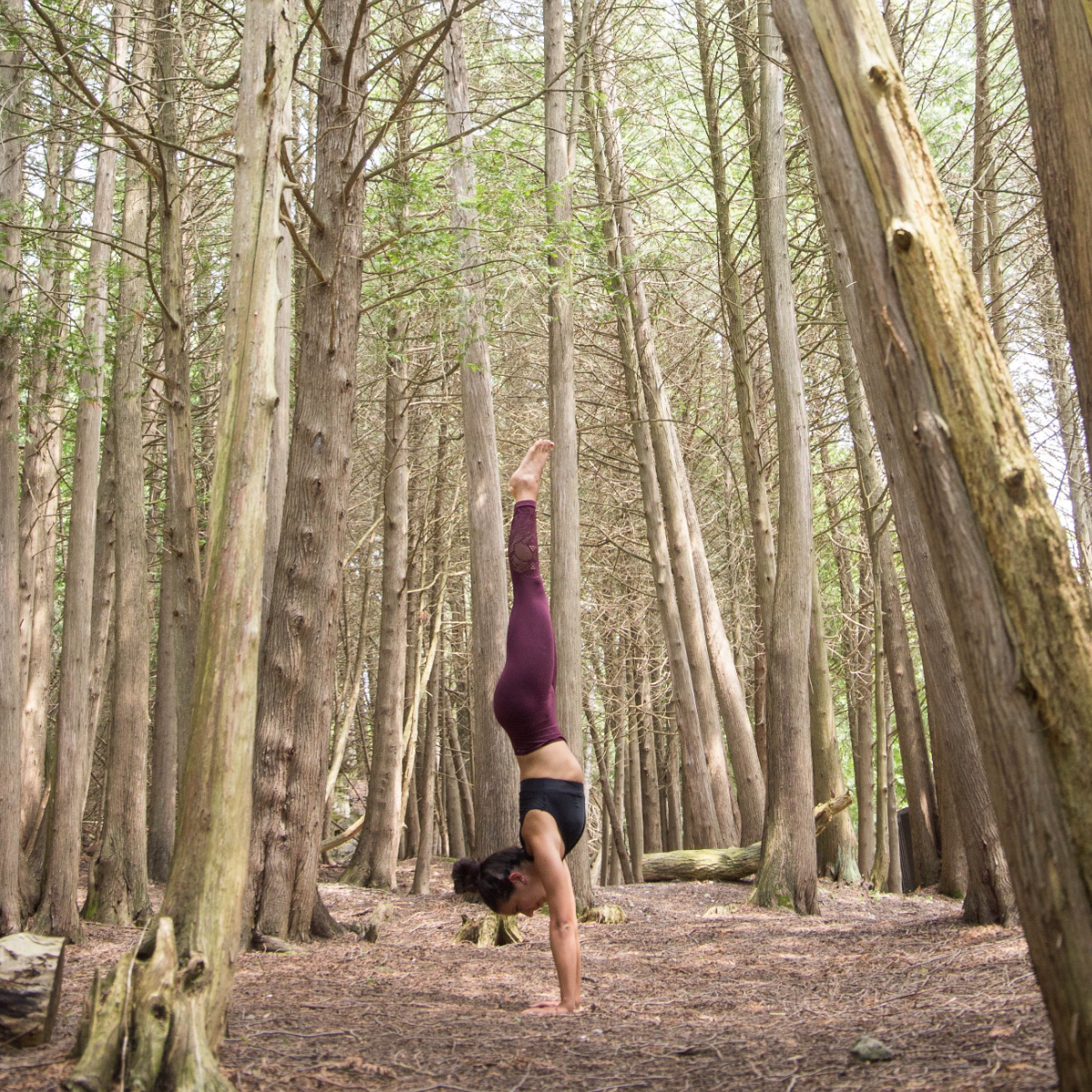 Yoga with Meagan - Whitehorse