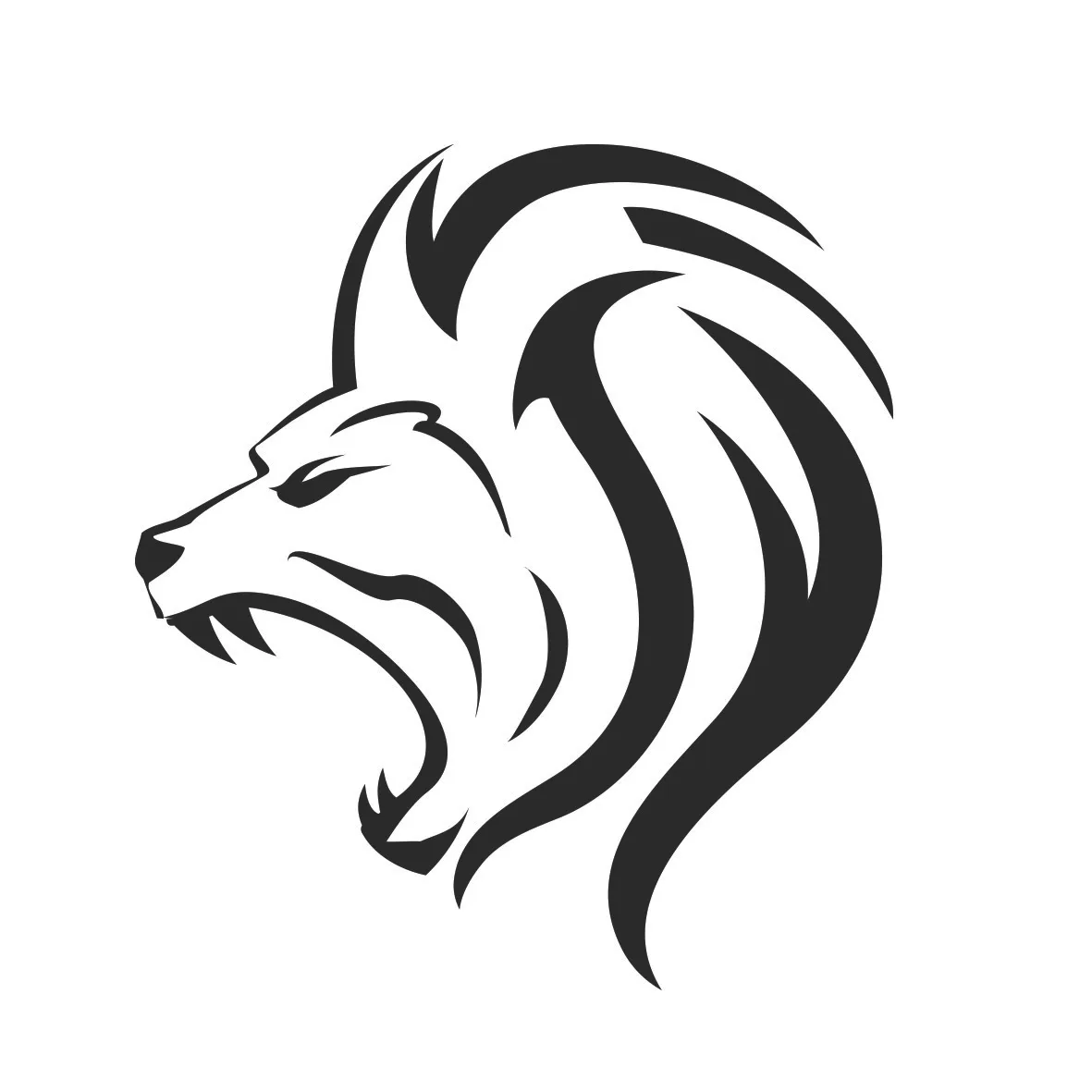 Academy BRAVUS Club - Fitness & Training Center