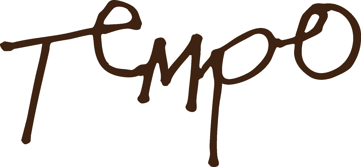 Tempo School of the Arts