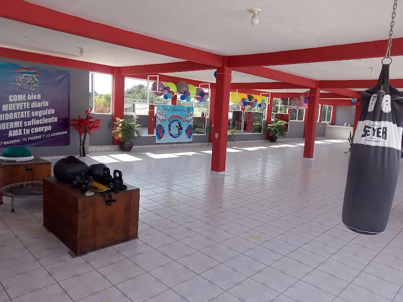 VIDSANFIT ( Vida Sana Fitness)