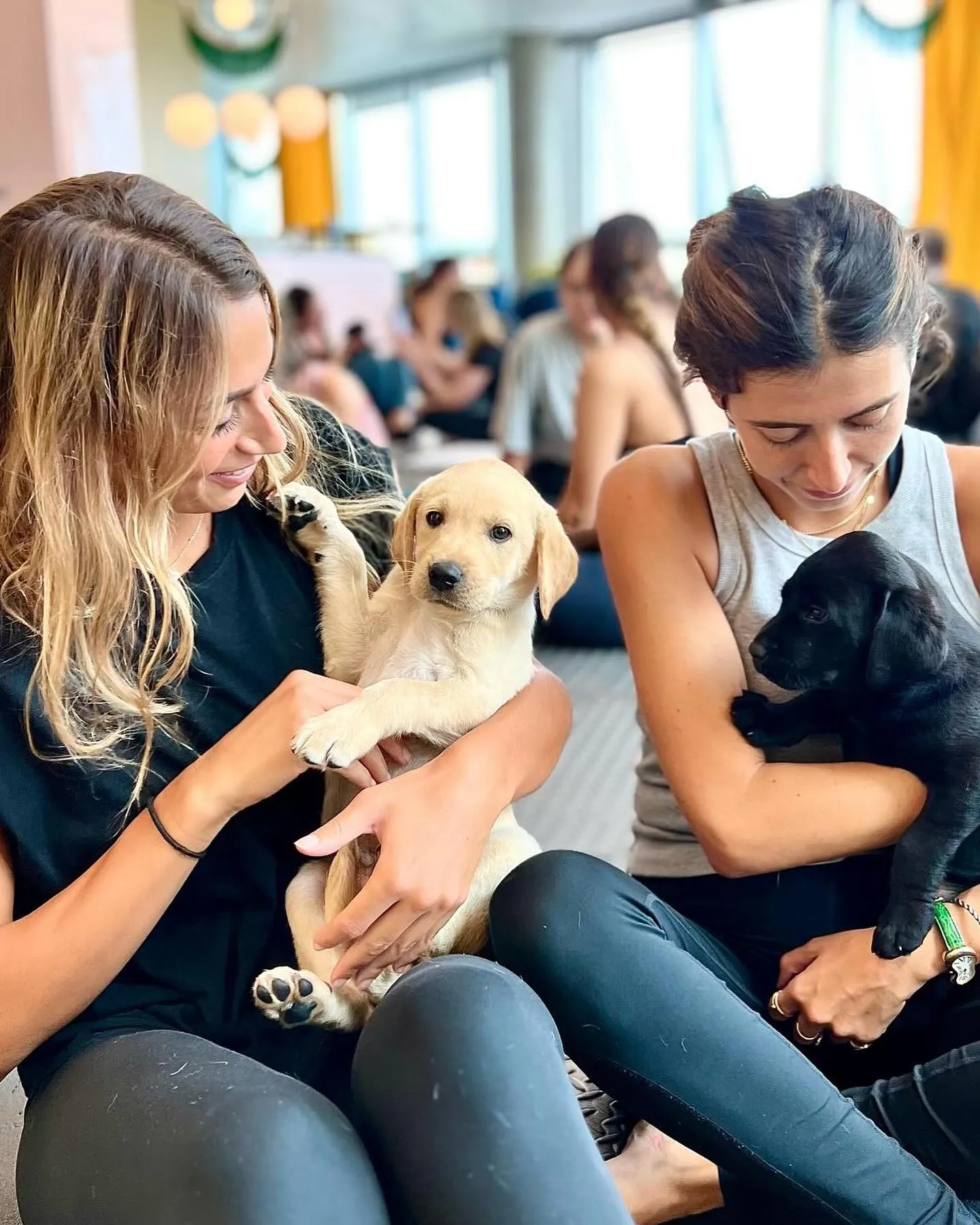 Puppy Yoga Nasvhille 2 (Puppies Yoga)