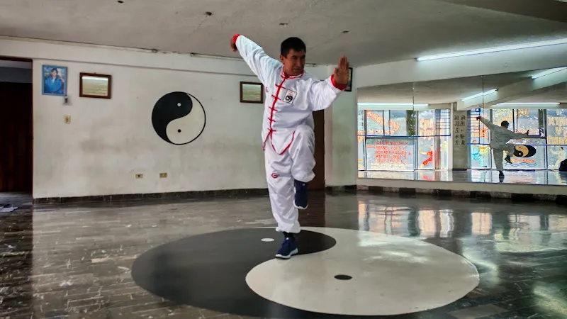 Asociación Chino Mexicana De Wu-shu Y Chi-kung