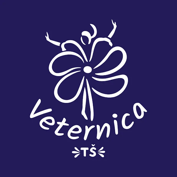 Tanečná škola Veternica