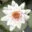 Yoga & Ayurveda-Tulln Hilde Geiger