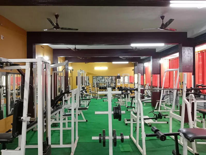 TN FITNESS CENTRE AND MULTY GYM