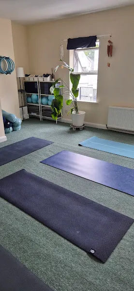 Yoga and Pilates Centre Dublin Ltd