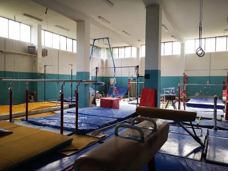 Varesina gymnastics and fencing A.S.D.