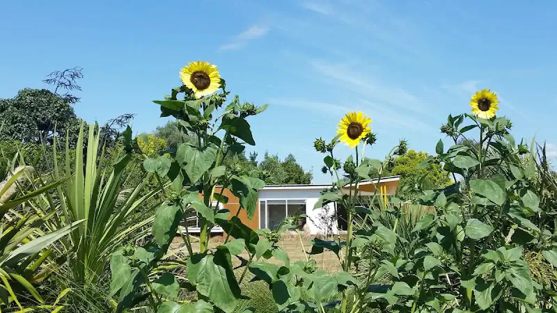 Zelkova -Yoga Studio & Stays