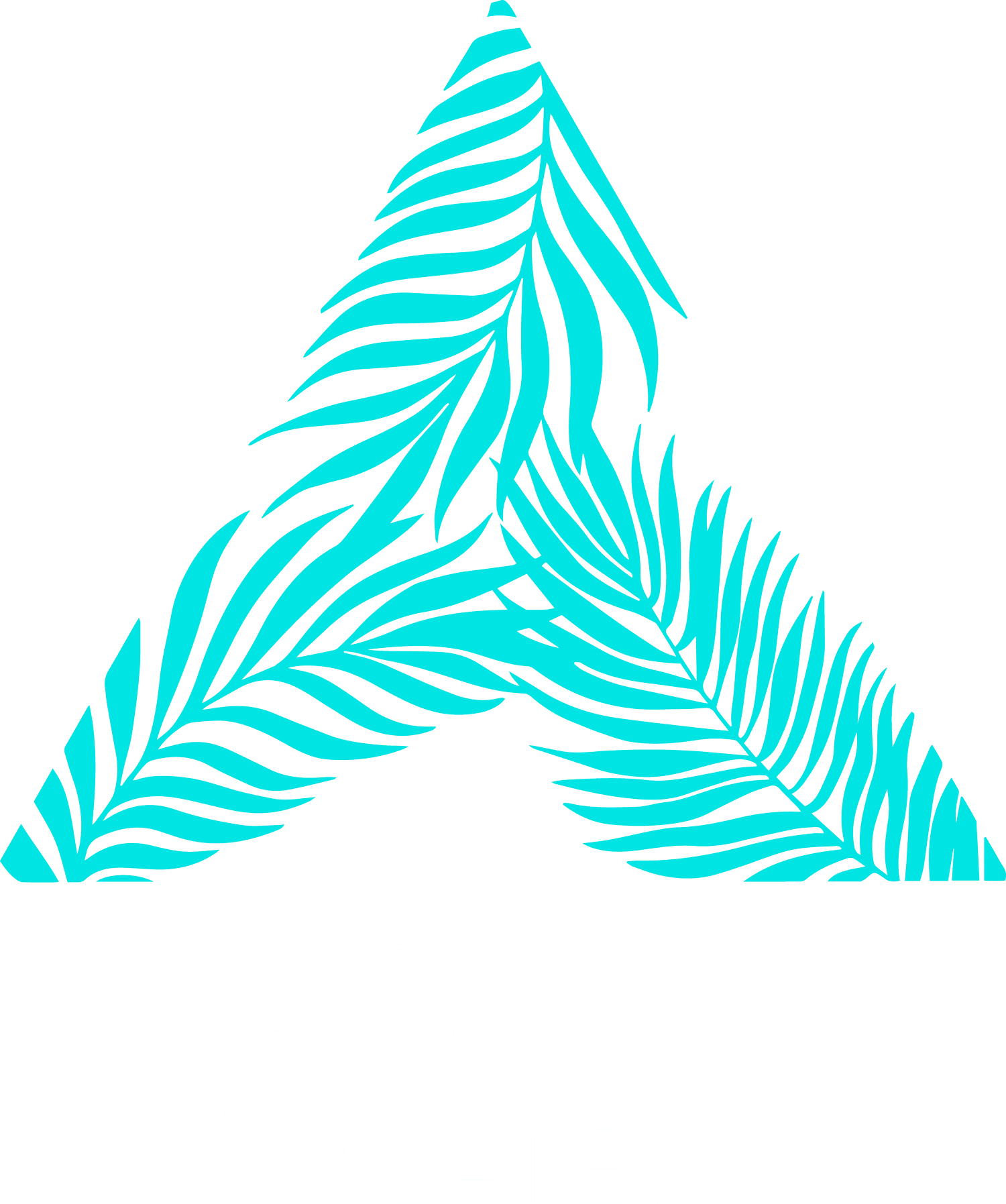 Activation Pilates