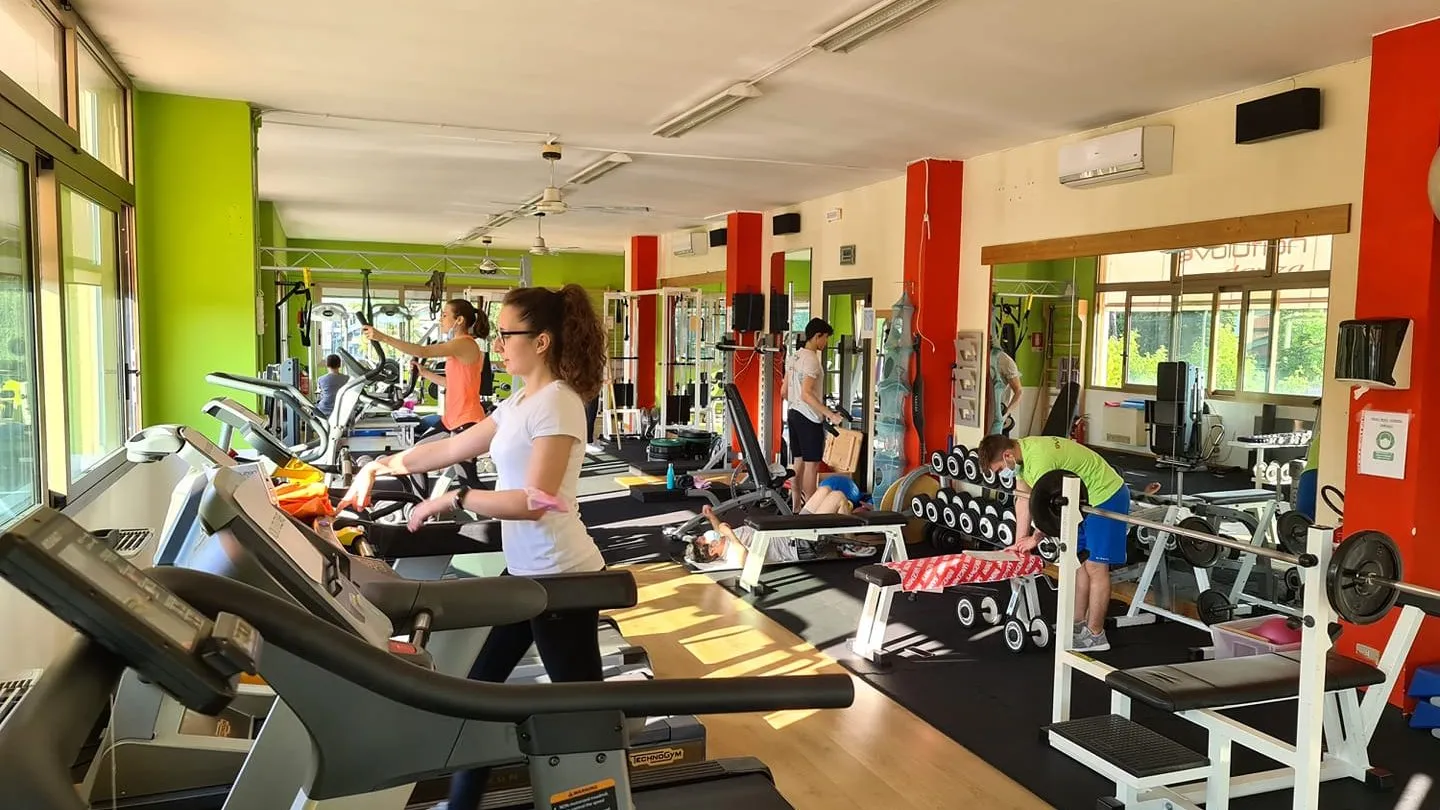 Evolution Fitness and Dance