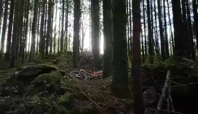 Whitehorse Trails