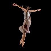 compagnie anne-sophie fenner