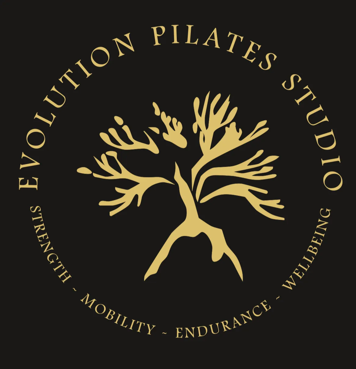 Evolution Pilates Studio