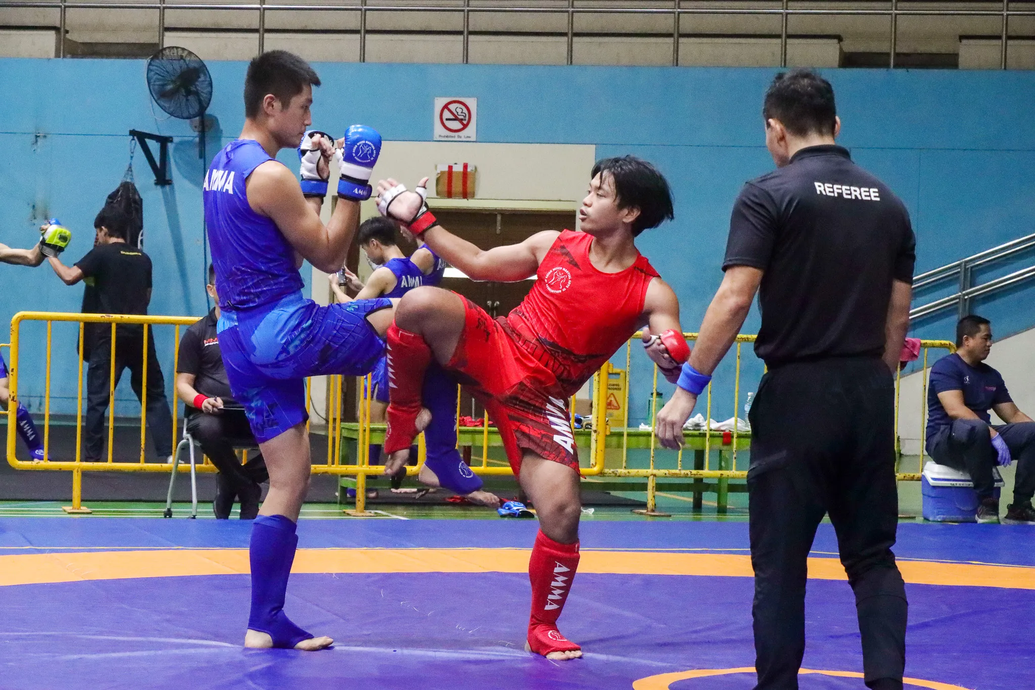 Mixed Martial Arts Association of Singapore