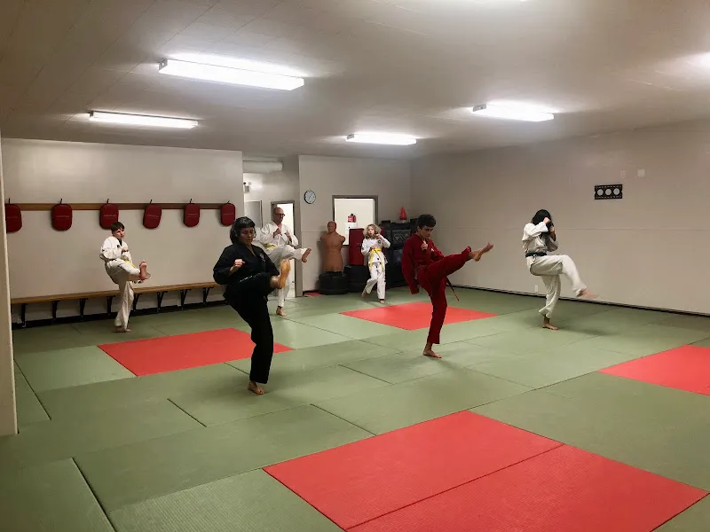 Evolution Martial Arts - Tae Kwon-Do & Mixed Arts of Self Defense