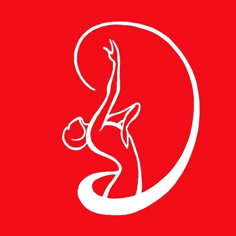 Danzalma Academy