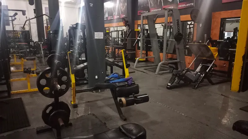 Power Gym Maxuxac II