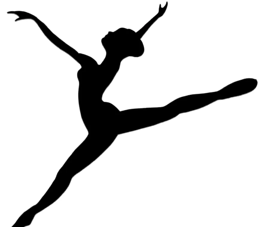 Dance Vision Ballet Company Associate Programme