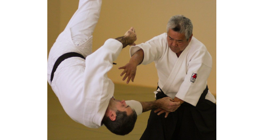 Aikido Yoshinkai Canada