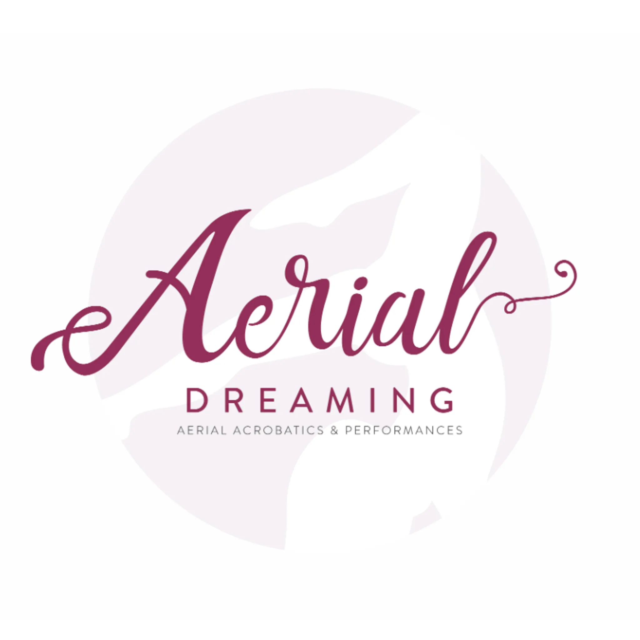 Aerial Dreaming Performances