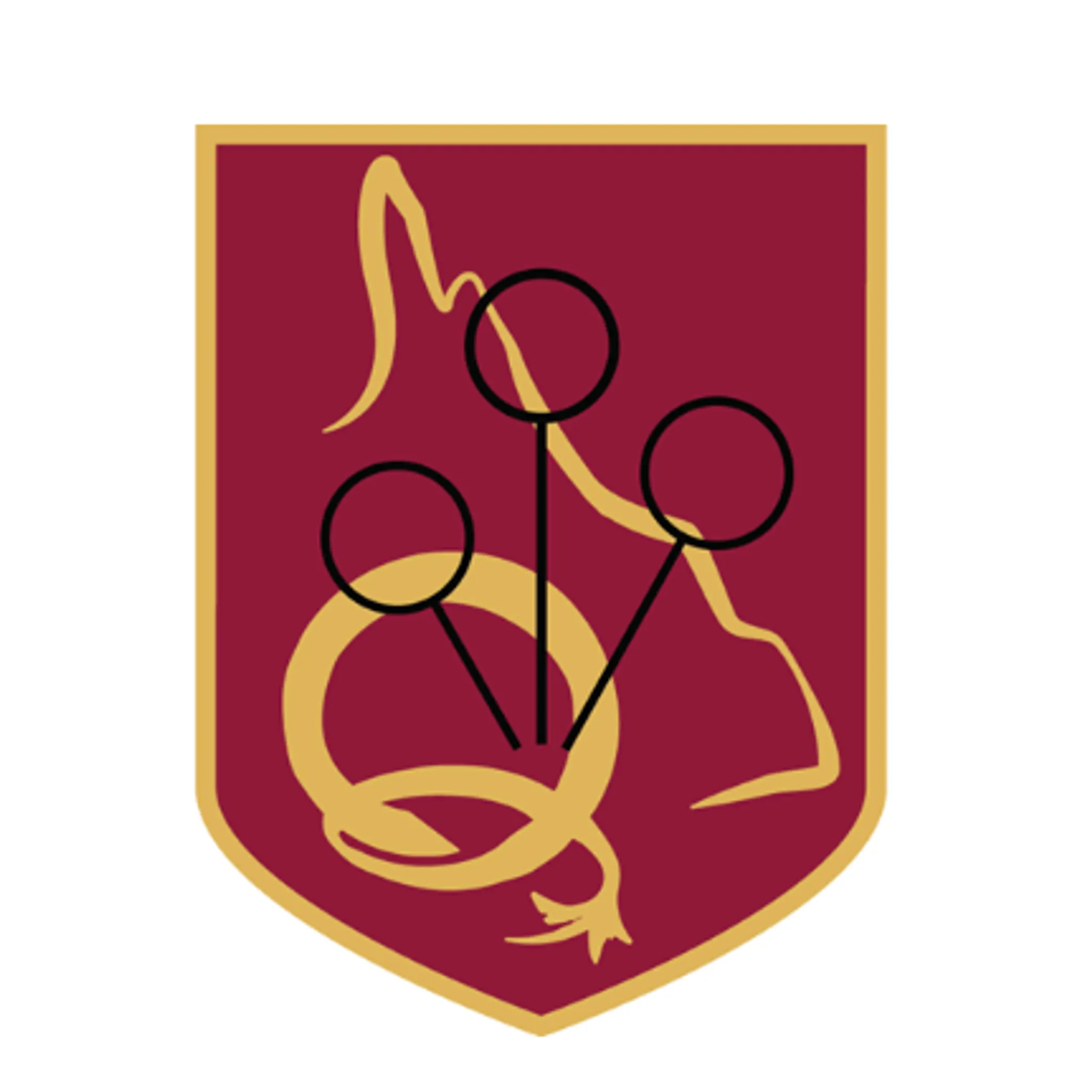 Queensland Association of Quidditch