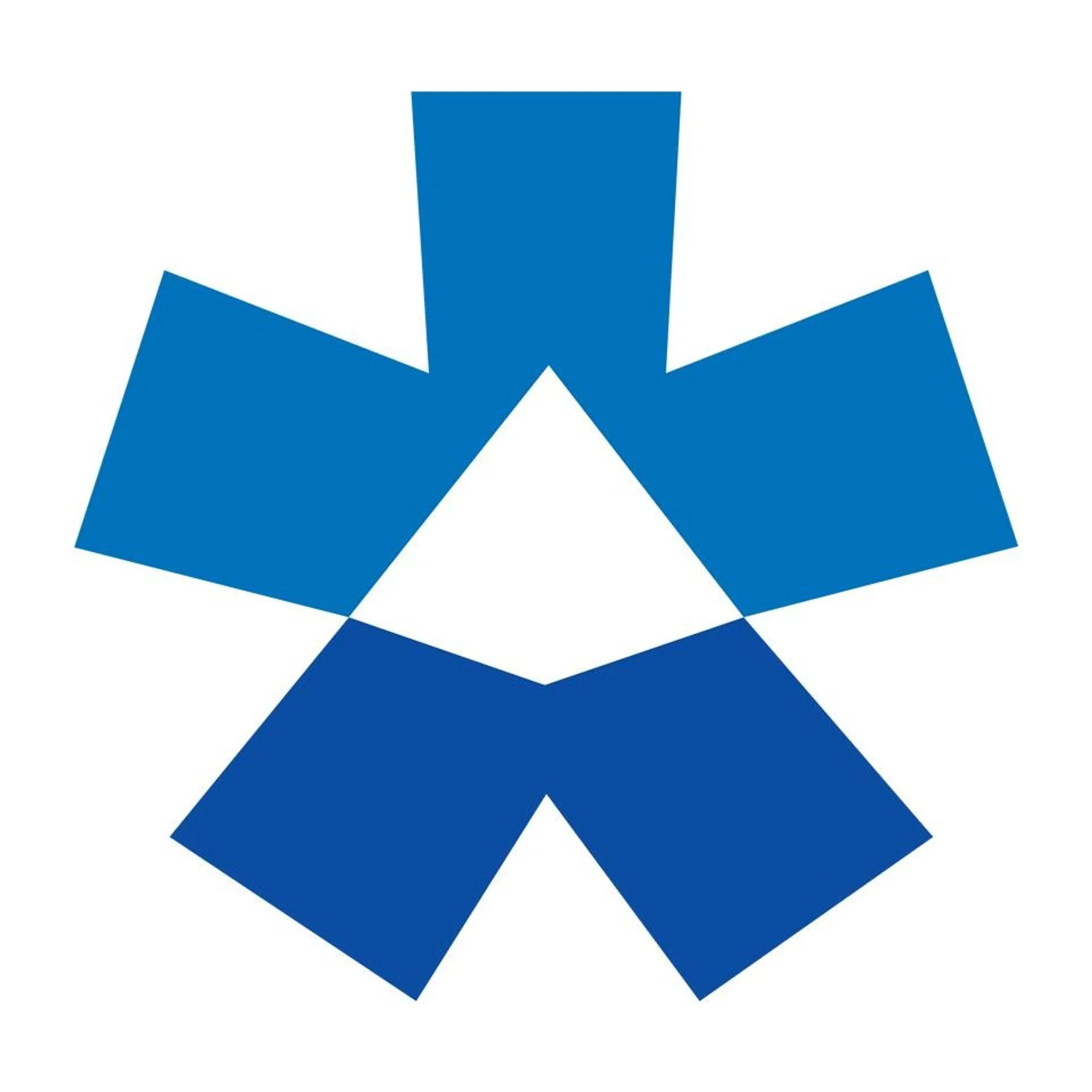 Mt Buller Ski & Snowboard School