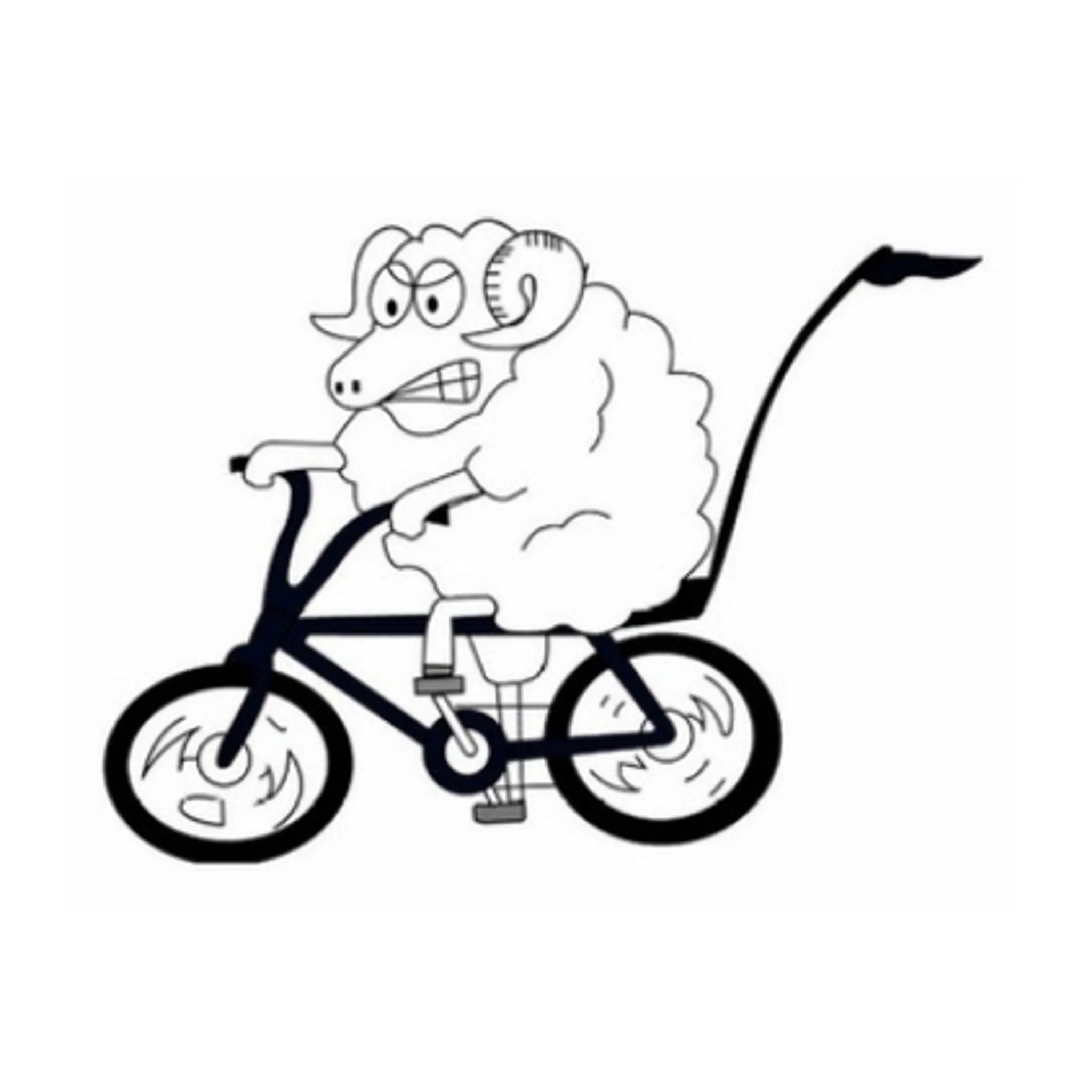 Temora Triathlon Club