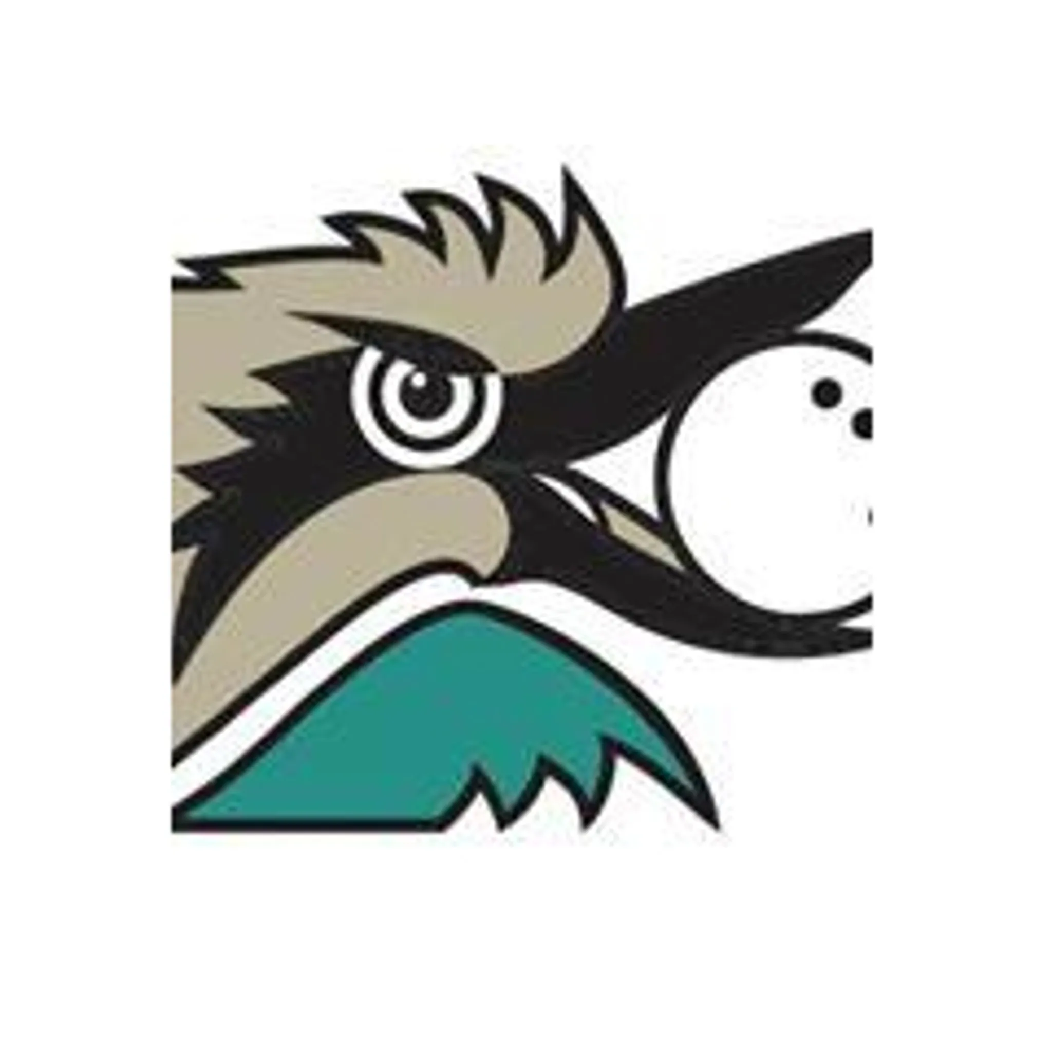 Greensborough Hockey Club