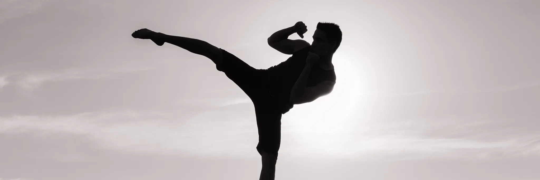 MMA Training (All Levels) MMA Training (All Levels)