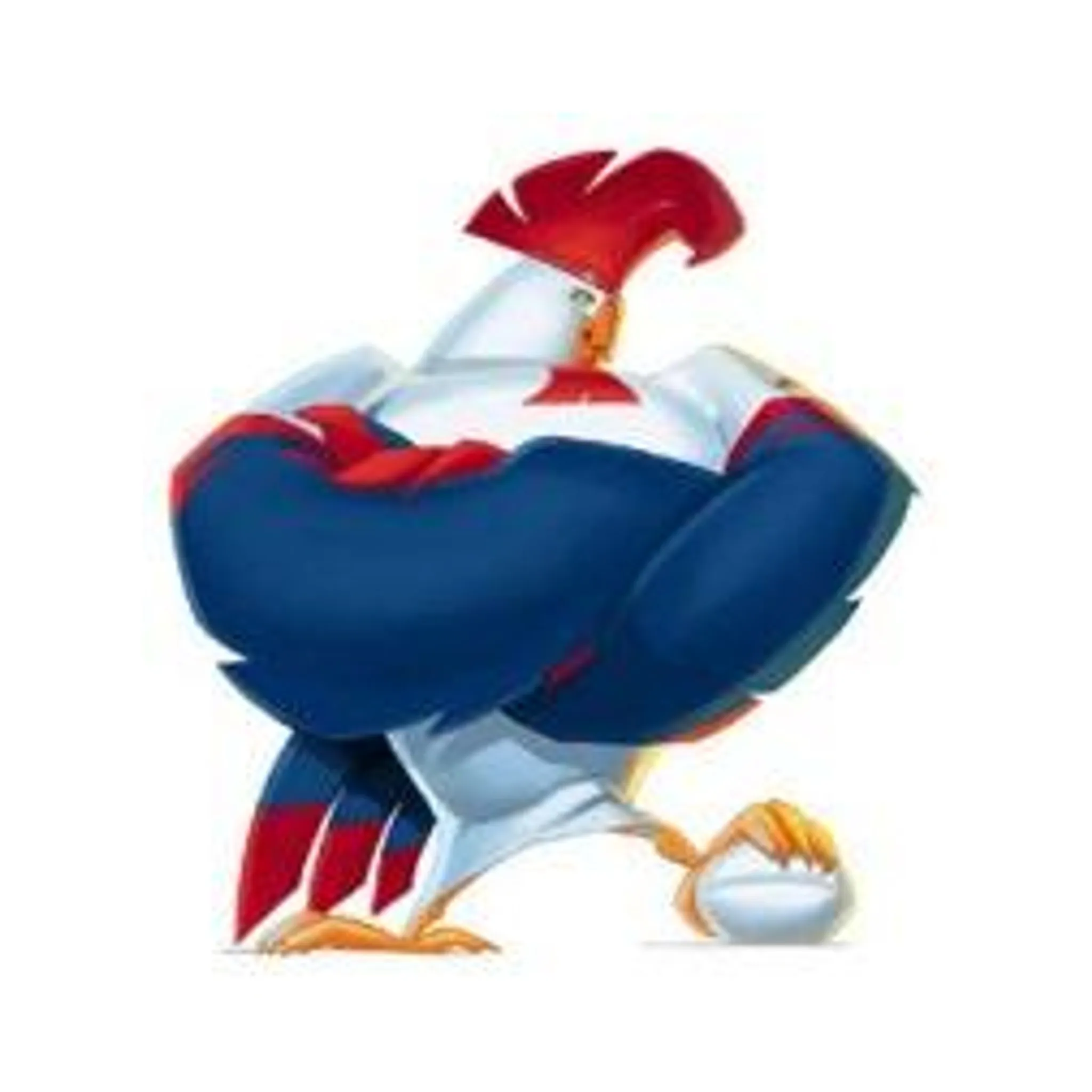 Burdekin Junior Rugby League Football Club